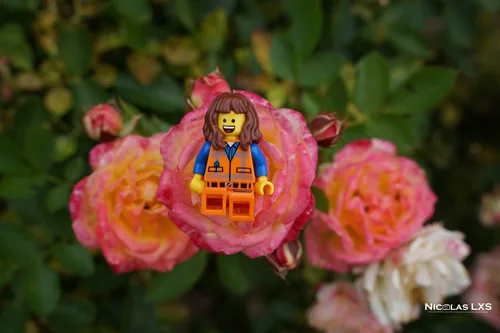 Figurine LEGO souriante en tenue de chantier au cœur d'une rose