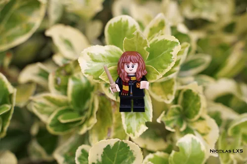 Hermione LEGO au milieu d'un feuillage panaché
