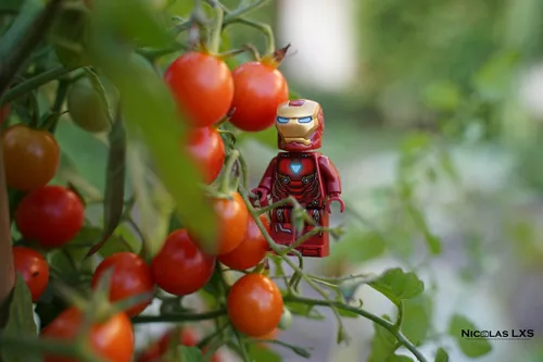 Figurine LEGO d'Iron Man parmi des tomates cerises