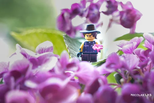 Rex Dangervest LEGO parmi des fleurs violettes