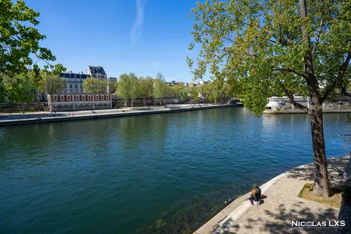 Quai ombragé de l'île Saint-Louis au bord de la Seine